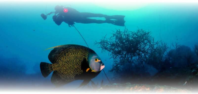 buceo02